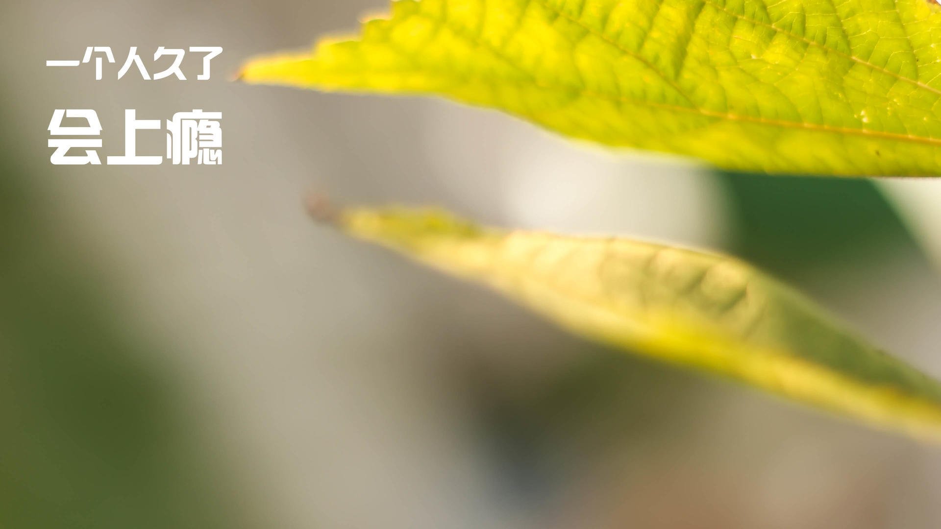 利拉德时刻降临天山，新疆队决胜局一箭穿心带走辽宁