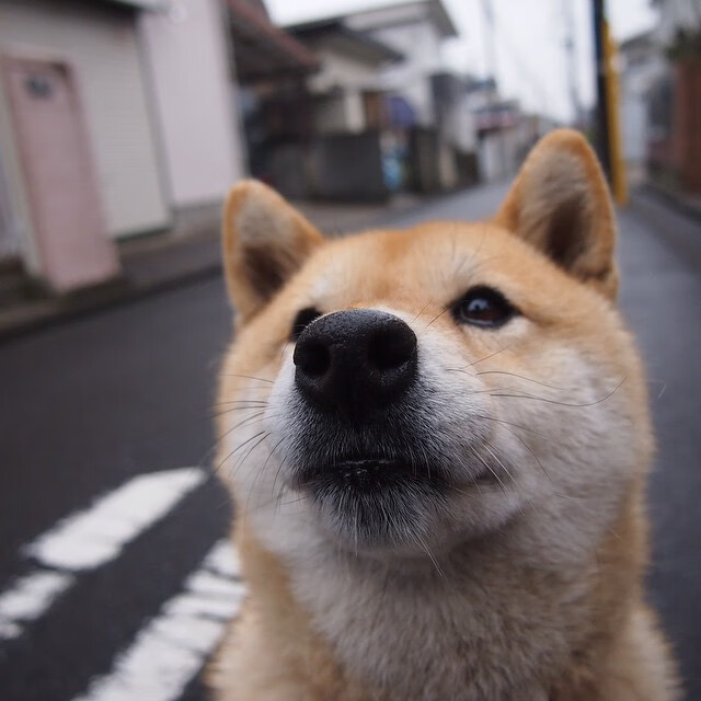 唯一性的艺术，德布劳内，当卓越成为唯一，切尔西胜利不可复制