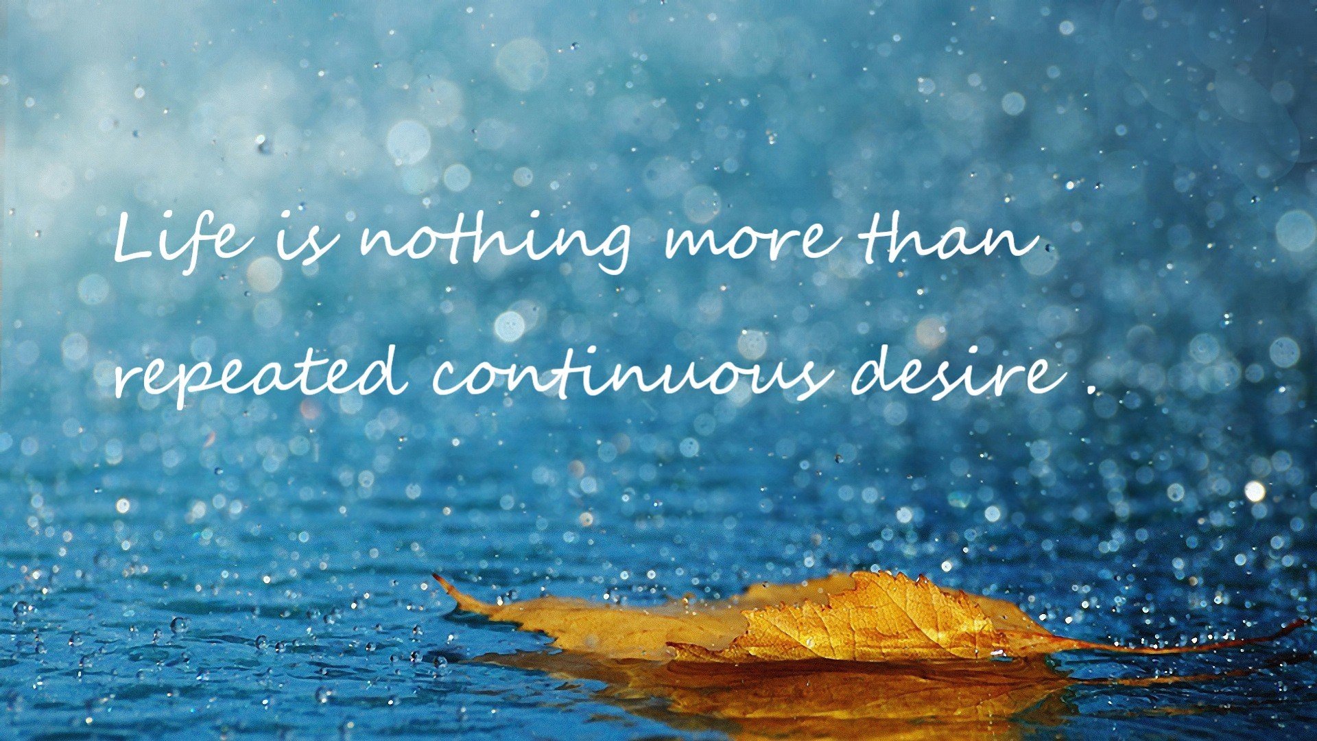 彩虹横跨欧非大陆,加克波惊艳伊斯坦布尔的足球艺术展