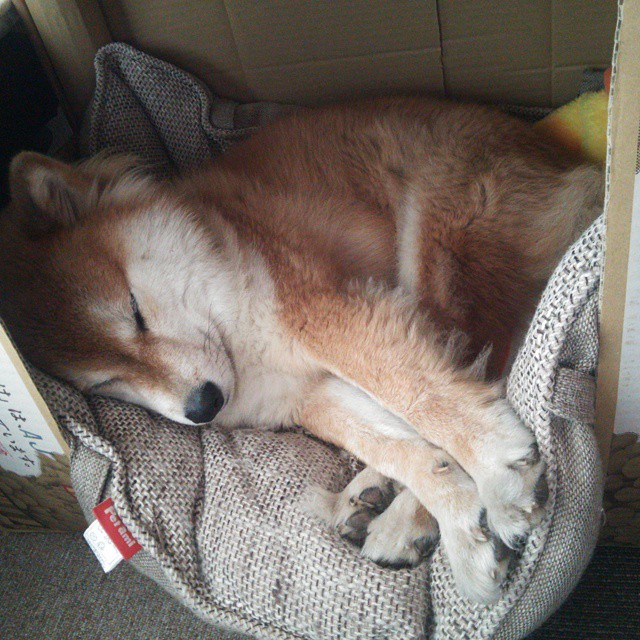 北欧童话再度上演？加维客串导演，瑞典球队友谊赛斩落利物浦的双重震惊