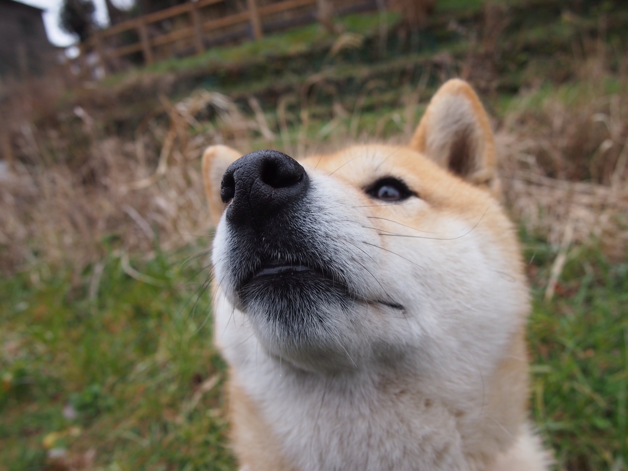节奏大师!库尔图瓦八扑定乾坤,巴萨3-1强势碾过拜仁