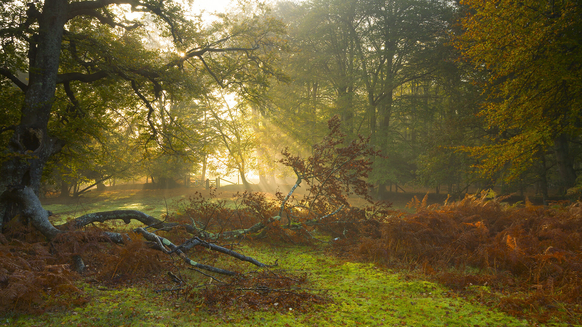 从暗影到聚光灯下，维尼修斯如何用一剑封喉，让存在感成为决赛夜最锋利的武器