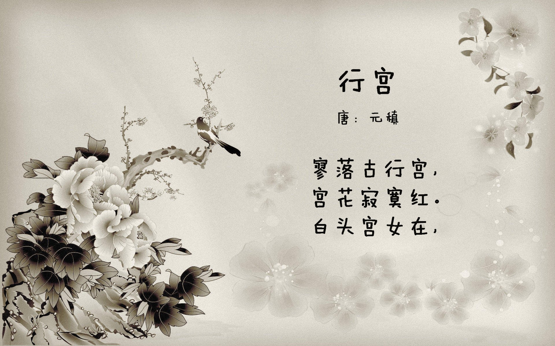 刺客与机器，哈弗茨的致命一刺与拉齐奥的精密运转