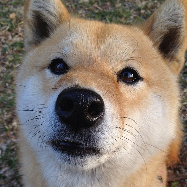 命运的偿还,曼城决胜局带走乌克兰,金玟哉2026世界杯接管全场