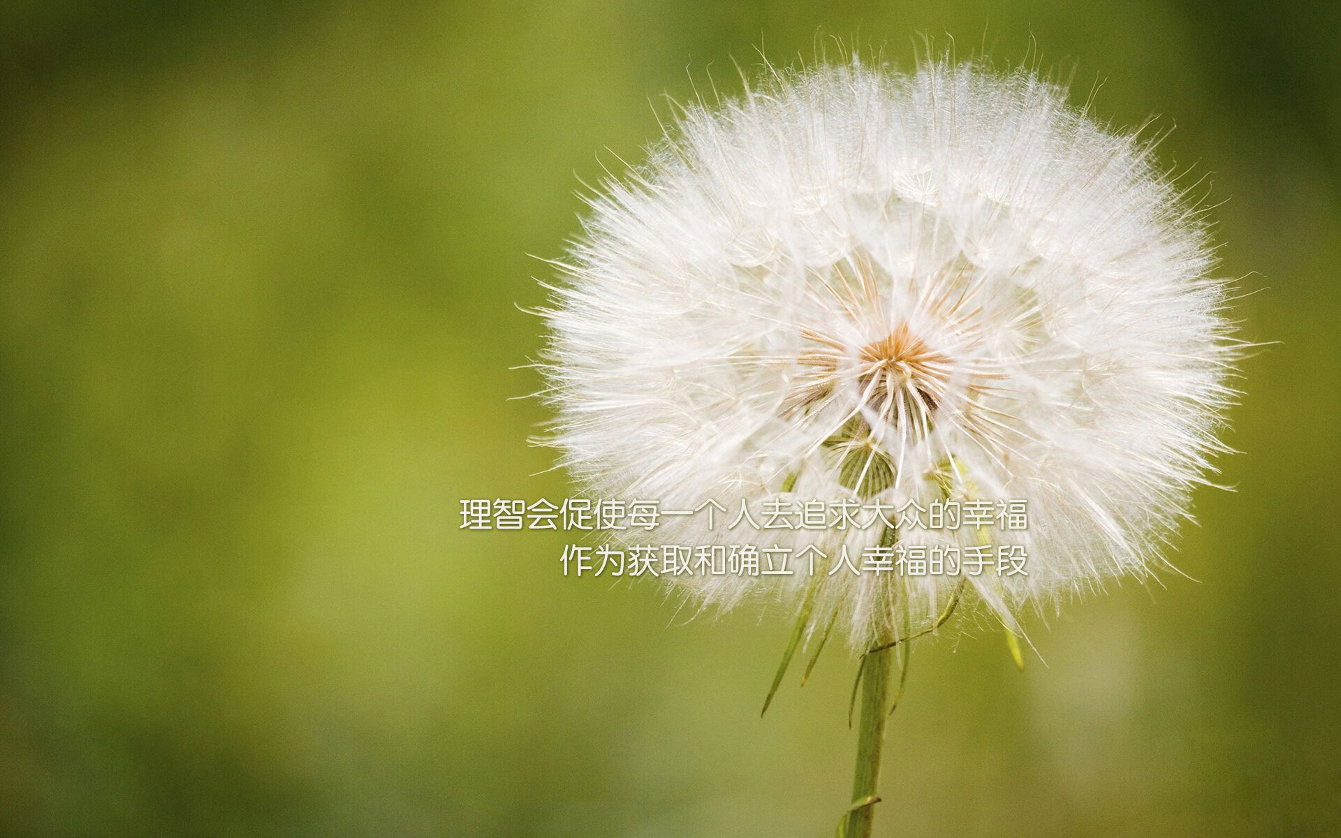 深蓝警报！活塞压哨绝杀破开不败金身 布克最后15秒化身关键先生