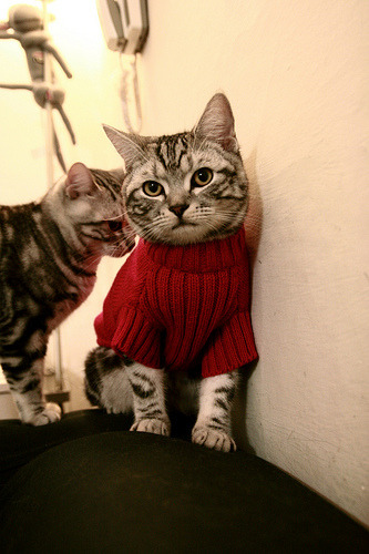 逆转!深圳魔术师的绿茵之歌