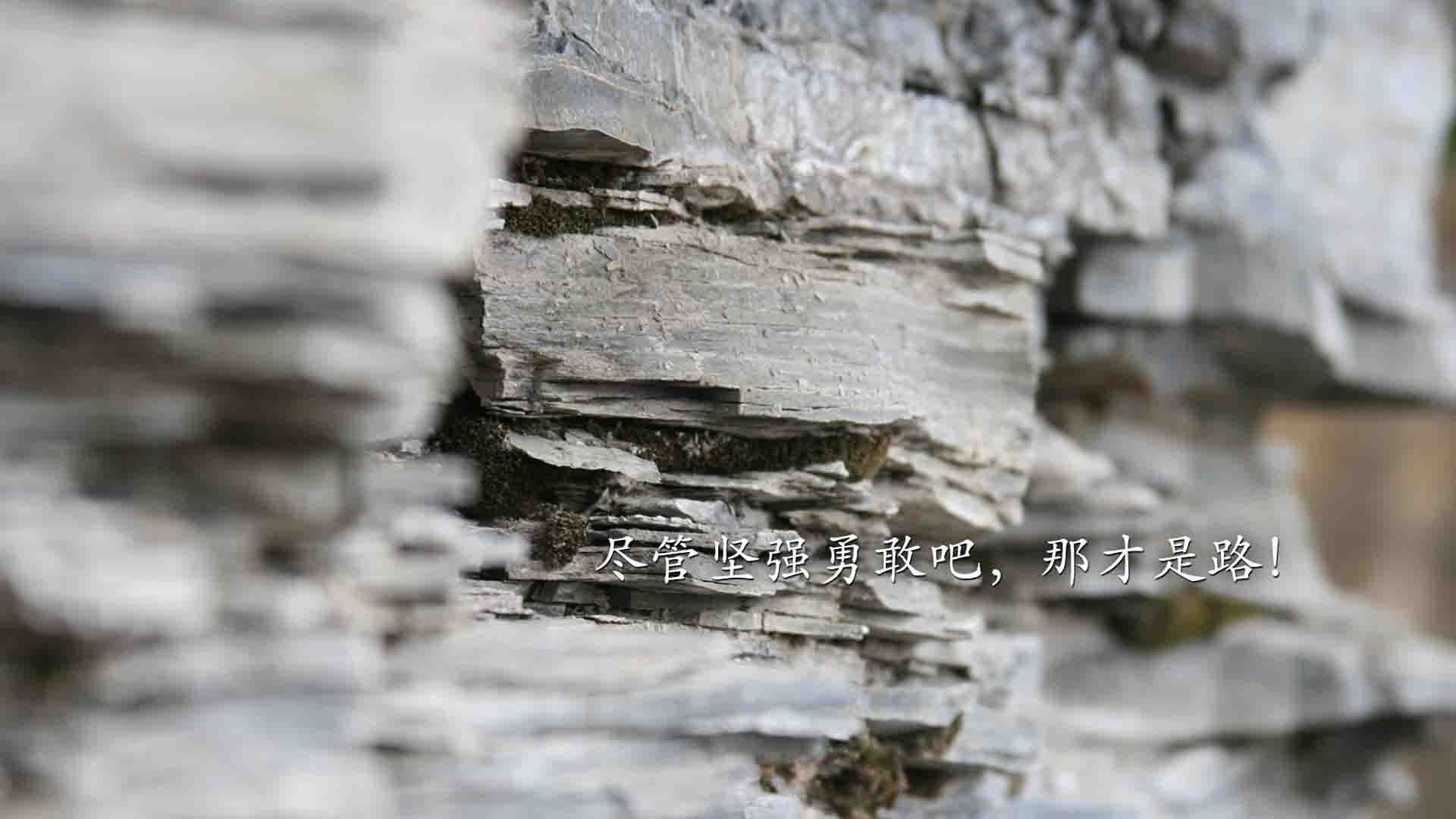 冰与火之歌，2026世界杯B组，齐耶赫用北非魔力破解北欧德比