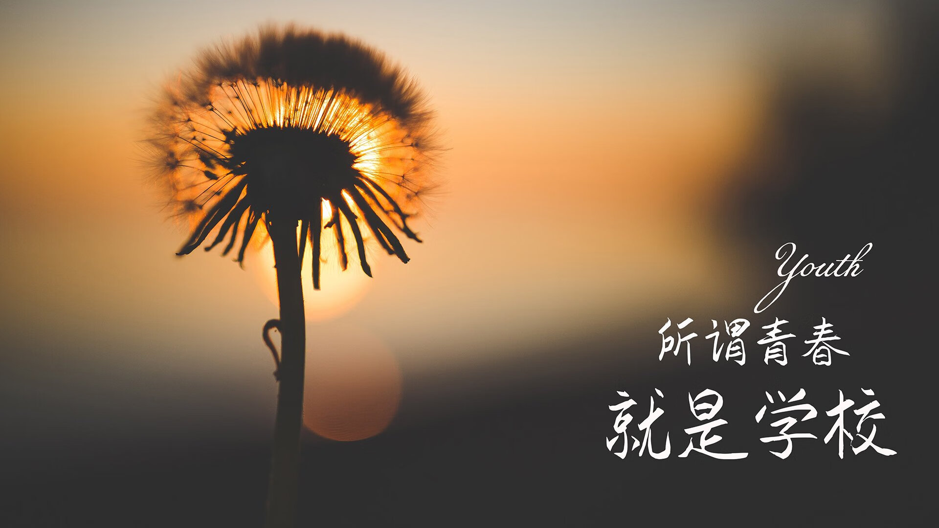 风暴眼中的神话，当仙人掌刺穿加勒比墙，奥斯梅恩用一场封神之战定义2026唯一性