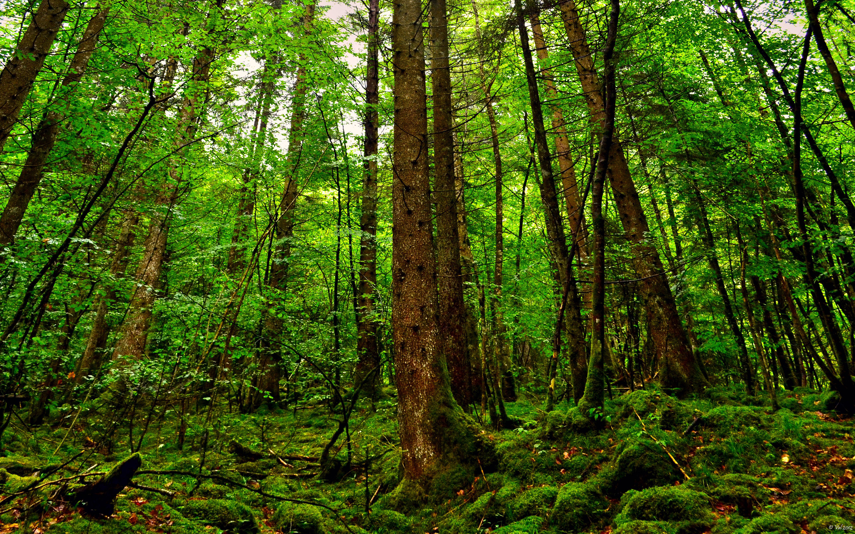 首先，为你扩展思维，拟定一个极具冲击力的标题